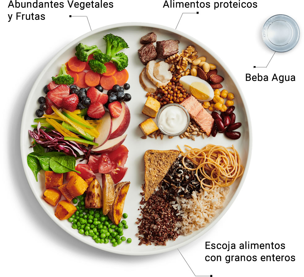 Comer Sano: La Guía De Alimentos De Canadá – Mi Lado Natural – Recetas ...